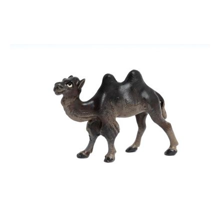 Mini: Kamel