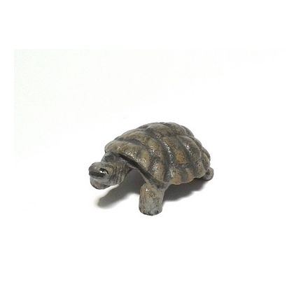 Schildkröte klein