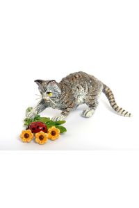 Katze mit Blumen und Marienkäfer