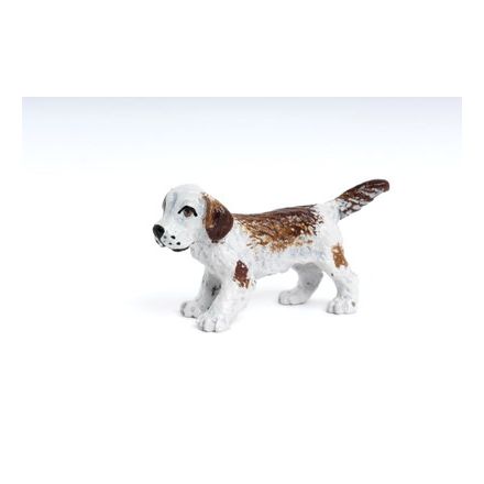 Mini: Junger Jagdhund
