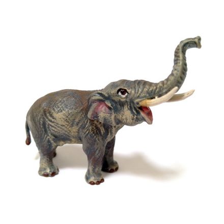 Elefant Rüssel hoch