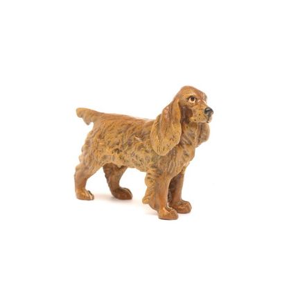Spaniel