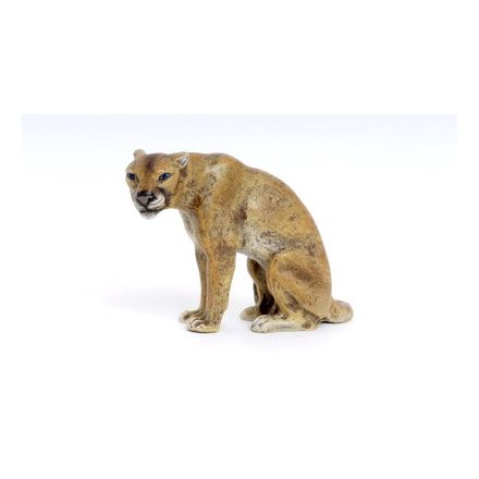 Puma sitzend