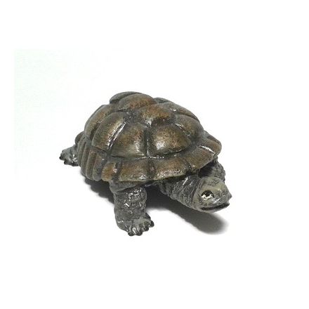 Schildkröte groß