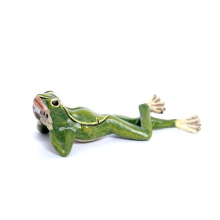 Frosch liegend