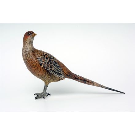 Fasanhenne1
